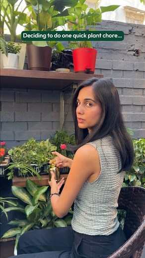 Ugaoo | It's never just one chore. 😅 #plantcare #ugaoo #houseplants #ugaooplants #healthyplants #plantparents #plantsgrowpeople #iloveplants... | Instagram