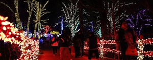 Holiday Light Shows That Will Amaze You