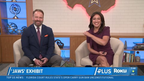 11,000 foot 'Jaws' exhibition to open in Los Angeles