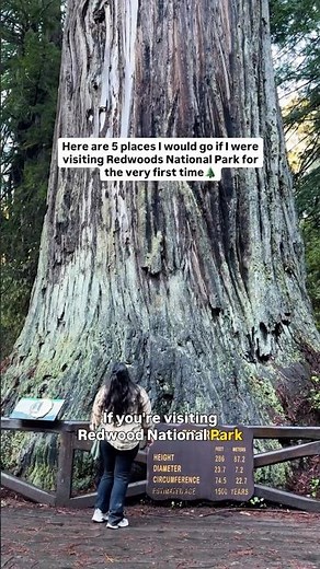 Reel: 5 Must-See Spots in the Redwoods🌲 #nationalpark #pnw #hiking
