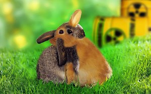 Stream Inseparable in english with subtitles in 720