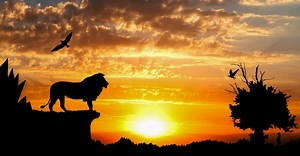 Animals in Movies: The 10 Best