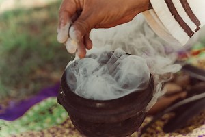 Ayahuasca trip helped rescuers find child survivors of Amazon plane crash, say volunteers and the kids' father