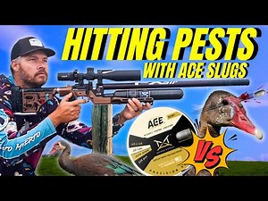 FX PANTHERA Airgun Hunt! Hitting PESTS with ACE SLUGS!
