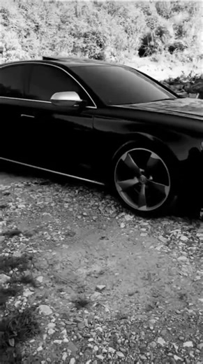 Audi a8 4.2 TDI pe TikTok