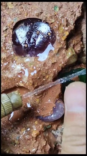 #RareGems #GemExtraction #GeologyGems #GemCutting #GemMining #NaturalJewels #Geodes #CrystalsFromTheGround #SustainableMining #PreciousStones #NaturalGems #MineralExploration #EarthTreasures | Rock & Crystal Wonders