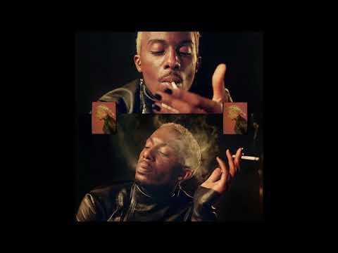 experimental playboi carti + wlr v2 + type beat - [Prod Marcistyles] “way 2 geeked”