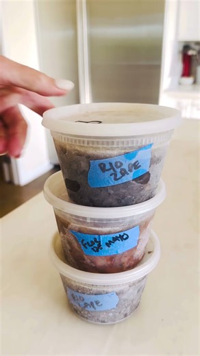 How To Freeze Beans #beans