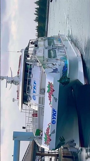 旅客船 やいま 帰港 カッコイイ😎 ショート🔥 やいま（八重山観光フェリー）安永号⛴️安永観光フェリー カッコイイ😎 2025年11月26日