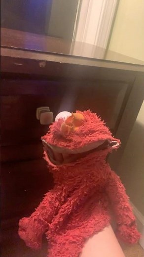 elmo world library quiz