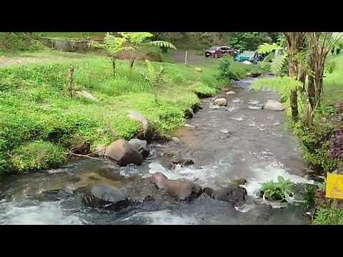 Bermain dan Mendidik anak mengenal Alam