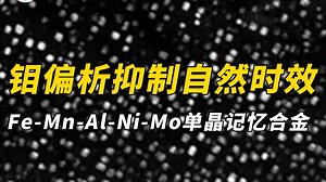 钼偏析抑制自然时效的Fe-Mn-Al-Ni-Mo单晶记忆合金——材料表征TEM测试（透射电镜）基础知识_哔哩哔哩_bilibili