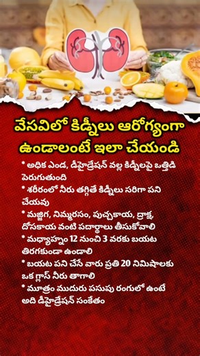 Kidney Health Tips: 5 Daily Habits to Keep Your Kidneys Strong Naturally