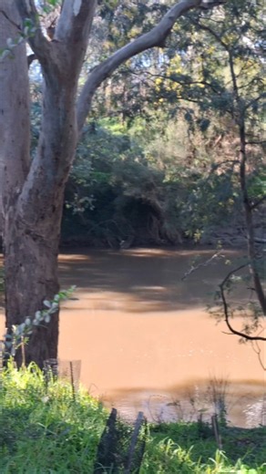 secret corner of Yarra Bend #discovery #outdoors