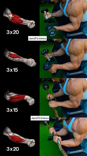 💪🏻Dumbbell Forearm Workout - Bigger Wrists & Grip #forearmworkout #dumbbellworkout #gripstrength