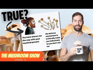 Are mushrooms extraterrestrials? The REAL reason why psilocybin exists (The Mushroom Show EP 11)