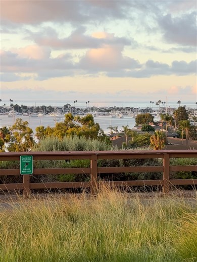 359 reactions · 32 shares | Visit Newport Beach on Reels | Facebook