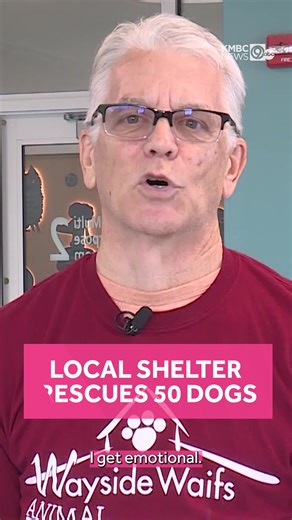 Wayside Waifs Rescues 50 Dogs from Alabama Puppy Mill