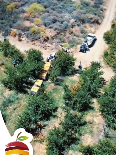 Orders Now Open !!! Fresh Yellow Clings From The Farm delivered Nation Wide visit our website For more information https://www.vrugteuit-dieboord.co.za/ #VrugteUitDieBoord #regenerativeagriculture #proudlysouthafrican #summerfruits #ordernow @ByeBoerWa@VrugteUitDieBoord @Charnette@VrugteUitDieBoord @LouisSnr@VrugteUitDieBoord @Wikkel_Willa @Dahlia @Justwilla @Ladybeast_D @Salome@VrugteUitDieBoord @melisa@vrugteuitdieboord @Dezi@vrugteuitdieboord @Riana@vrugteuitdieboord @Shirley Jacobs @Denise_M