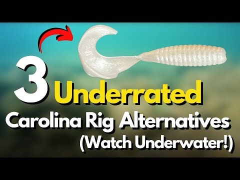 3 Carolina Rig Alternatives to Try (Underwater Look)