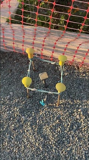 Snake repellent device