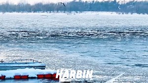 82K views · 252 reactions | Harbin Spring Overture: Flowing Waters of...