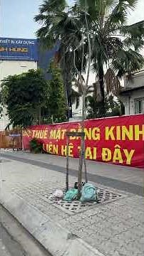 Đường Dương Quảng Hàm lễ giỗ Tổ (26/4-2026)