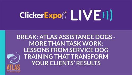More Than Task Work: Lessons from Service Dog Training that Transform Your Clients' Results