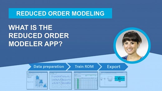 What Is the Reduced Order Modeler App?