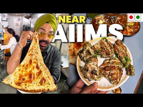 Taste of Punjabi Mutton and Chicken near AIIMS Hospital Delhi