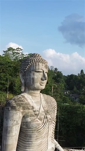 Sri Lanka 🇱🇰 | Nature, Culture & Paradise in One Island 🌍✨ #Shorts