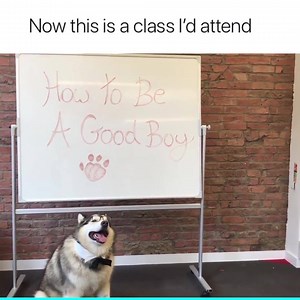 7.2K views · 32 reactions | best class ever  | MILESTONE | Facebook