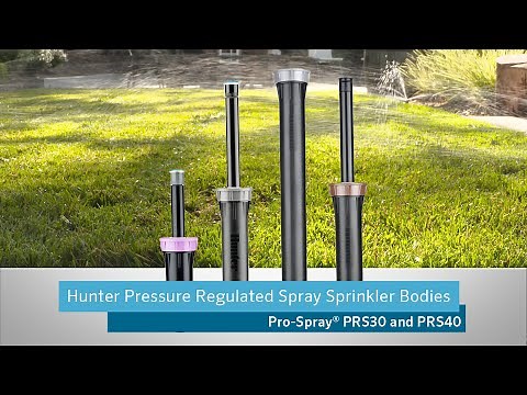 Hunter Pressure Regulated Spray Sprinkler Bodies