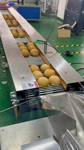 Food packing machine #tiktok #foodpackingmachine #packagingmachinemanufacturer #packingmachine #packingdessert