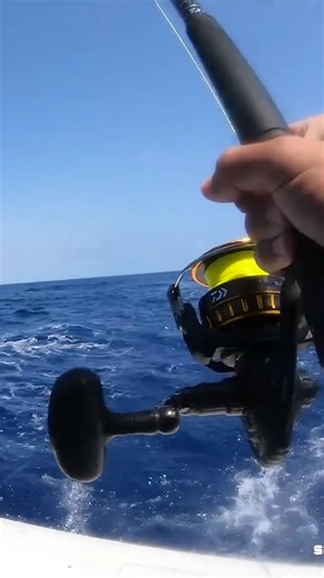 Catching a MASSIVE Mahi | South Florida Fishing Channel