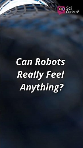 The Truth About Robot Emotions