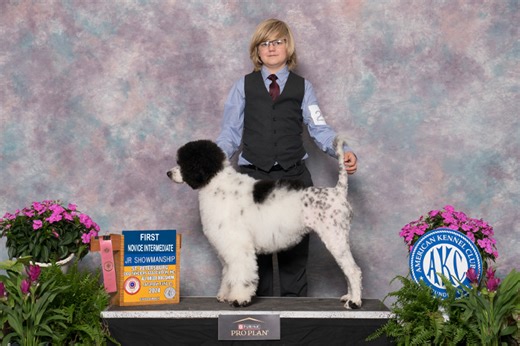 Noah Hollaway Debuts AKC Rally in Junior Showmanship at the AKC National Championship