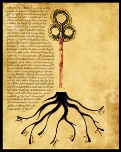 Raskovnik - Alchetron, The Free Social Encyclopedia