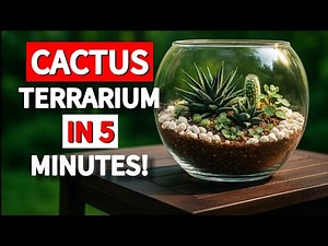 How to Make a Beautiful Cactus Terrarium Step by Step Guide