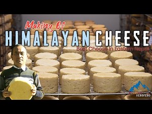 HIMALAYAN CHEESE MAKING PROCESS|CHEESE INDUSTRY IN EASTERN NEPAL|Purbeli Serofero