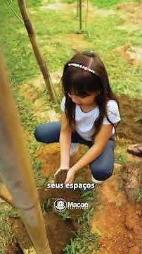 Macaé Cidade Árvore