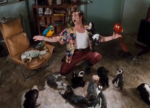 21K views · 632 reactions | Ace Ventura: Pet Detective was released 25 years ago... Alrighty then! | Madman Films | Facebook