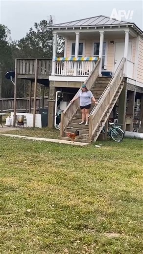 Who's the chicken now?! 😂 | America's Funniest Home Videos