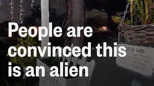 Woman's Ring camera captures video of, what appears to be, a strange creature