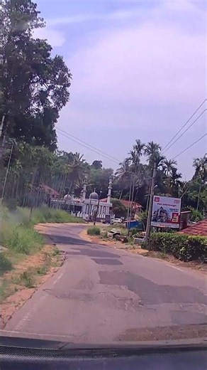 Coorg Local Roads and Nature Drives | Part 15 | Dashcam Highlight #Shorts