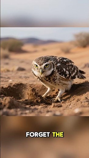 How Birds Make Nests — Amazing Nature Engineering 🐦