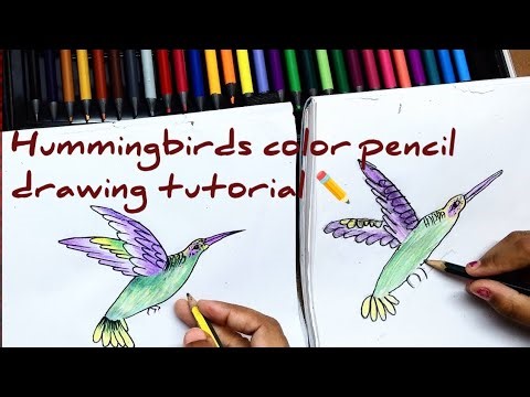 How to Draw a Hummingbird for Beginners | Step-by-Step Colored Pencil Tutorial