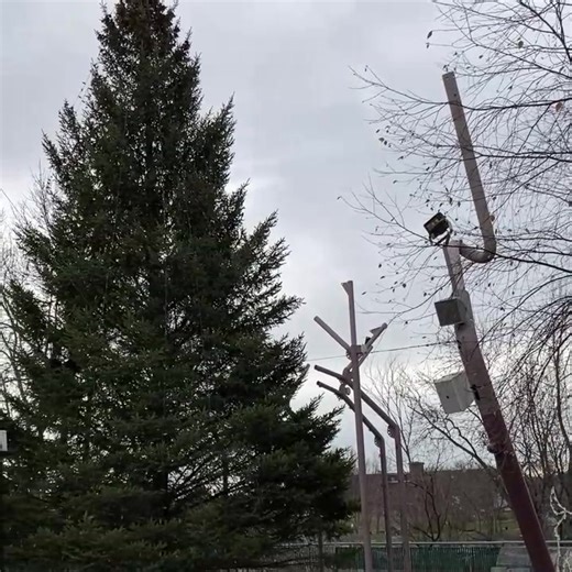 The adventures of Auburn's 2025 Christmas Tree! 🎄 Next up: the parade & tree lighting on Sunday, December 7th. Parade steps off at 3:30PM...tree lighting at around 4:15PM. Our thanks to the Colgan Family, Auburn Public Works, the Auburn (Maine) Police Department, and Cote Crane & Rigging. | City of Auburn, Maine (Official)