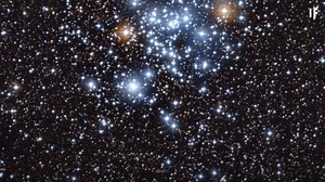 What If We Lived in a Globular Cluster?
