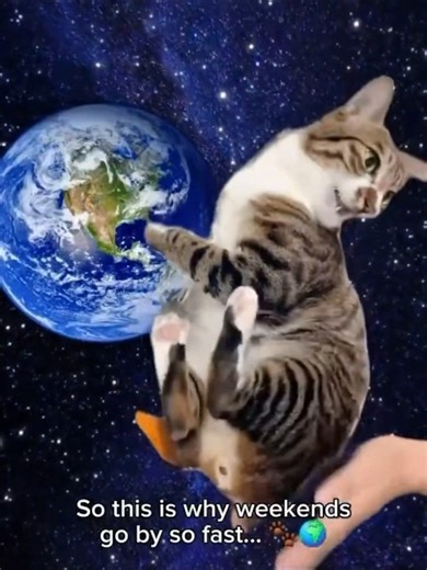 チ。 ―地球の運動について―
